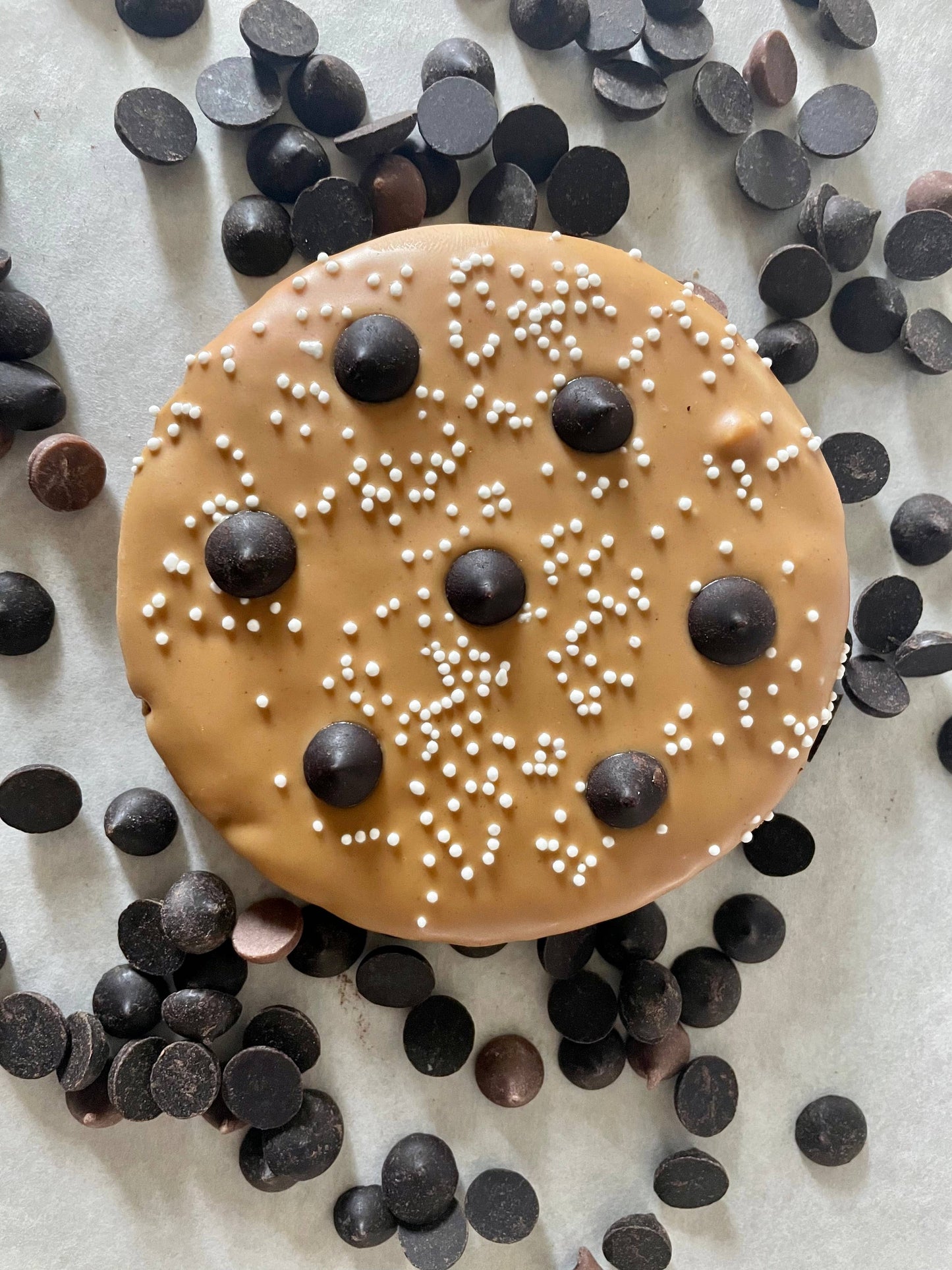 Classic Chip Cookie dog treats
