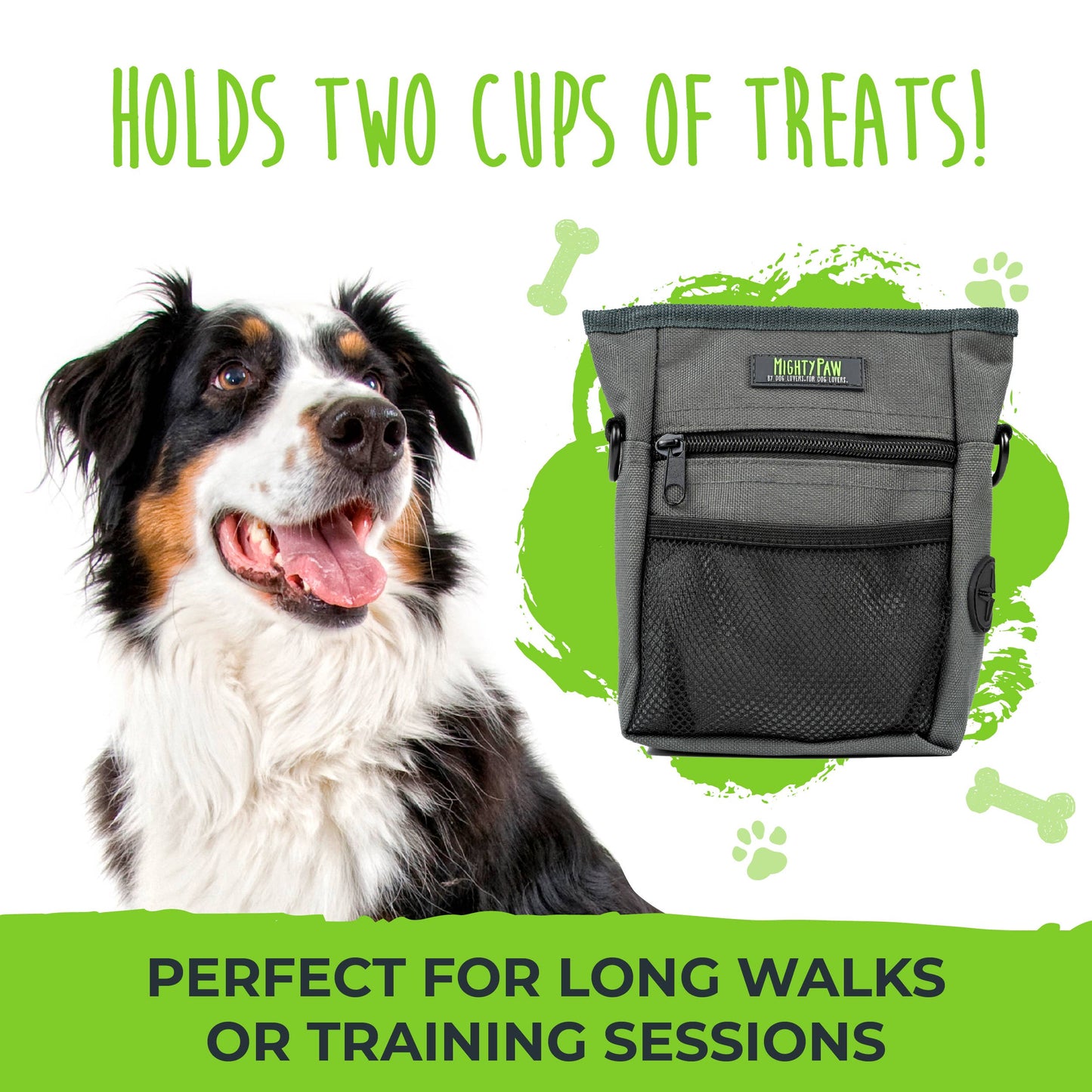 Treat Pouch 2.0