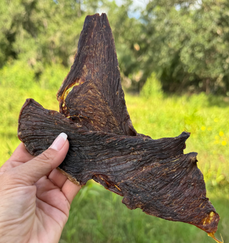 Beef Jerky