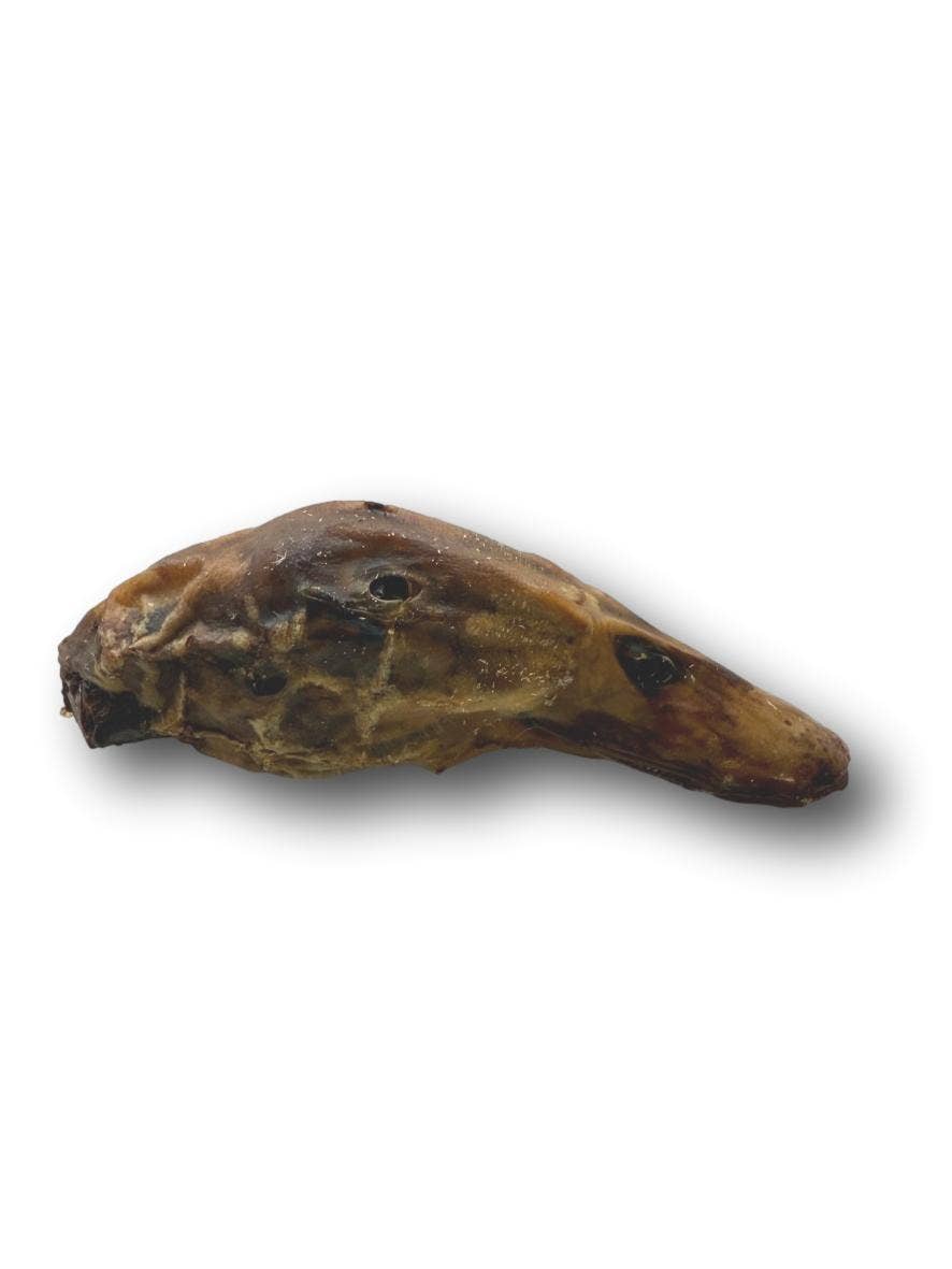 Duck Head