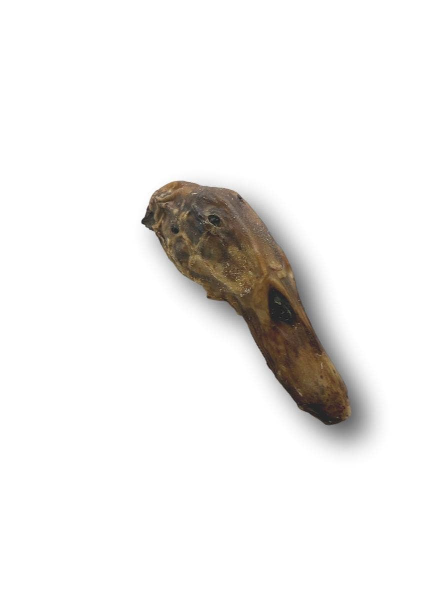 Duck Head