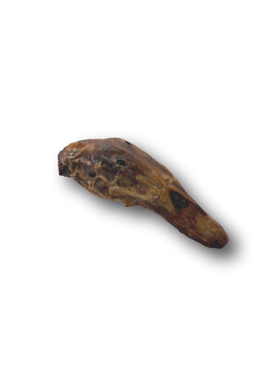 Duck Head