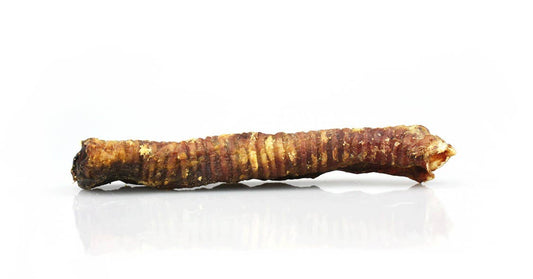 Lamb Trachea - 7-8"